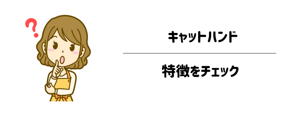 なぜキャットハンドが日常の家事完全自動化にベストなのか特徴をチェック