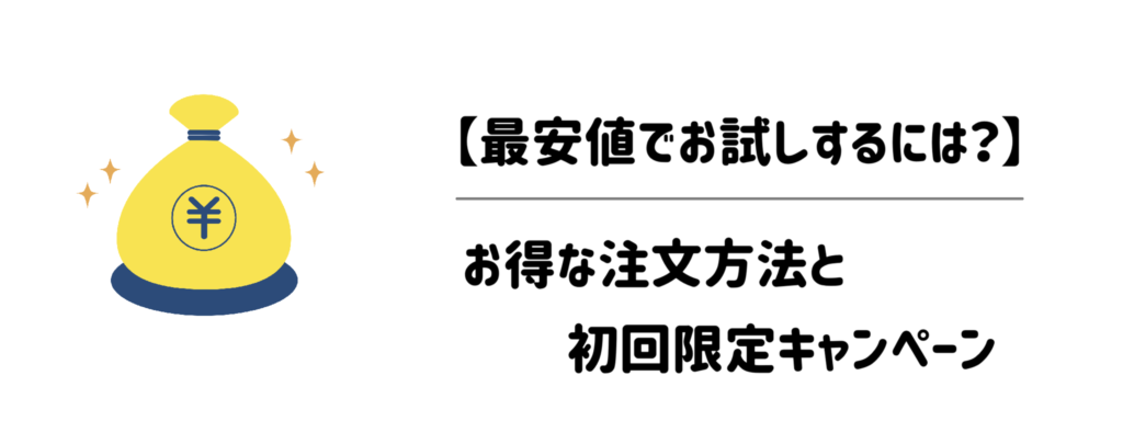 最安値でお試し】損しないお得な注文方法と初回限定キャンペーン徹底比較