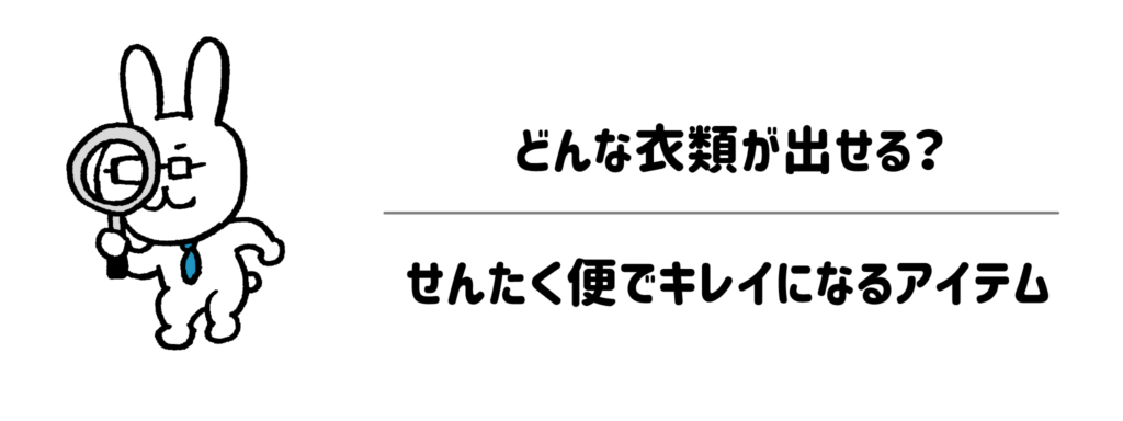 どんな衣類が出せる?せんたく便でキレイになるアイテム