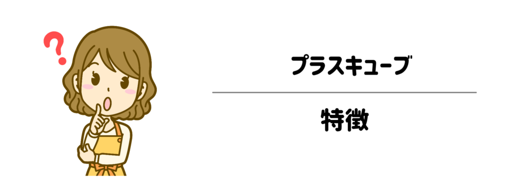 プラスキューブ（PlaCuber）が「家事ラク最強」と言われるワケと特徴