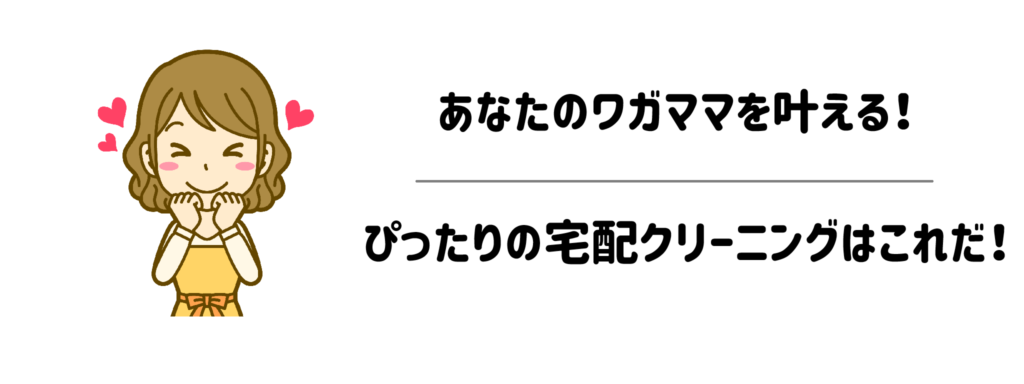 あなたのワガママを叶える!ぴったりの宅配クリーニングはこれだ!