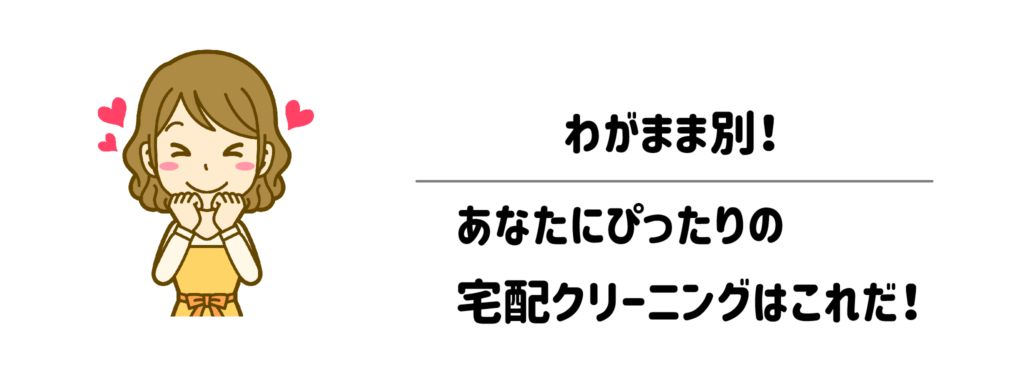 わがまま別!あなたにぴったりの宅配クリーニングはこれだ!